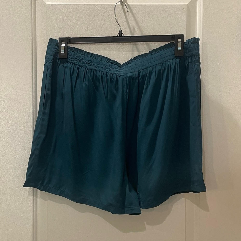 NEW…DR2 by Daniel Rainn Tie Front Teal Shorts - Picture 4 of 4